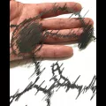 Утонченные узоры из бумаги Мистера Риу