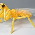 Воздушные шары Масаёси Мацумото