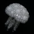 Воздушные шары Масаёси Мацумото