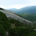 Якусима. Лес Прицессы Мононоке