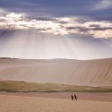 Экскурсия "Песчаные дюны Тоттори"