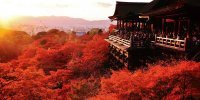 Экскурсия "Киото после обеда" English