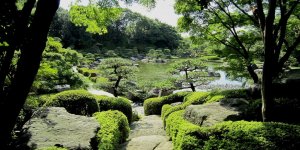 Японский сад в парке Оохори