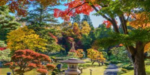 Японский сад Фудзита