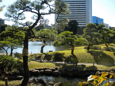 Япония планирует увеличить количество иностранных туристов, посещающих национальные парки до 10 миллионов в год.