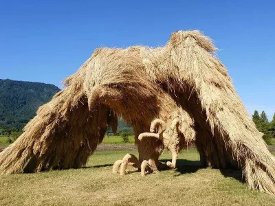 Фестиваль соломенных скульптур Wara Art Festival