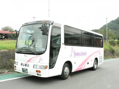 Внешний вид малого автобуса (19-25 мест) в Японии