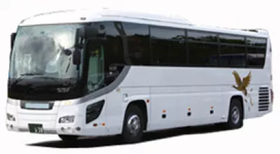 Большой автобус 45-60 мест