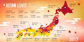  Прогноз на красные клёны в Японии 2017!