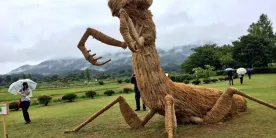 Фестиваль соломенных скульптур Wara Art Festival