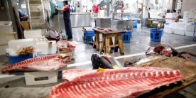 Открылся новый рыбный рынок Тоёсу