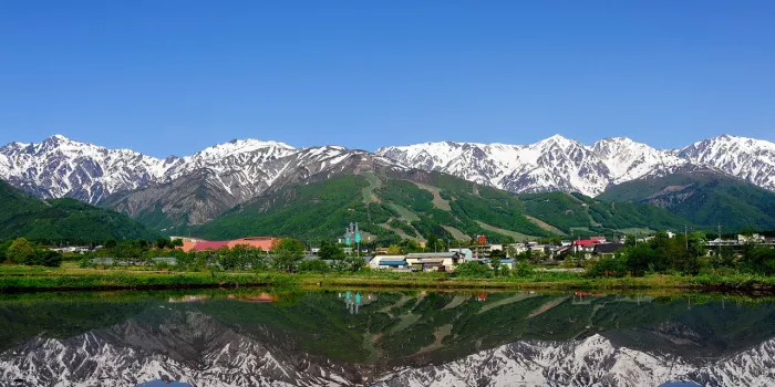 Хакуба Хакуба