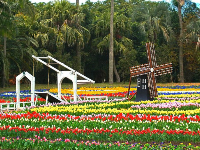 Цветочный парк Кагосимы