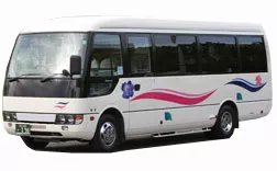 Микроавтобусы Микроавтобусы
